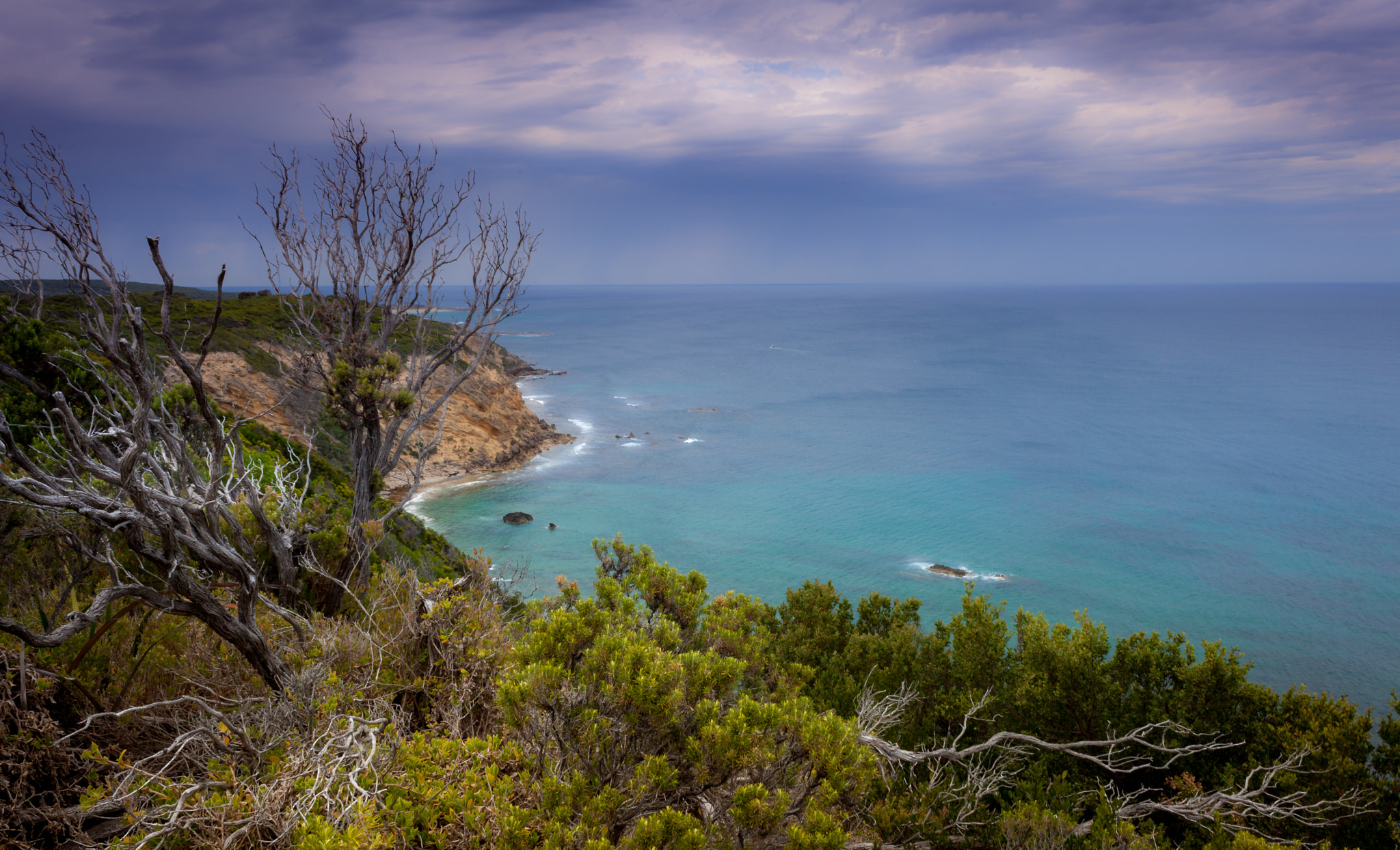 Canon EF 28-90mm f/4-5.6 sample photo. Green, blue and purple photography