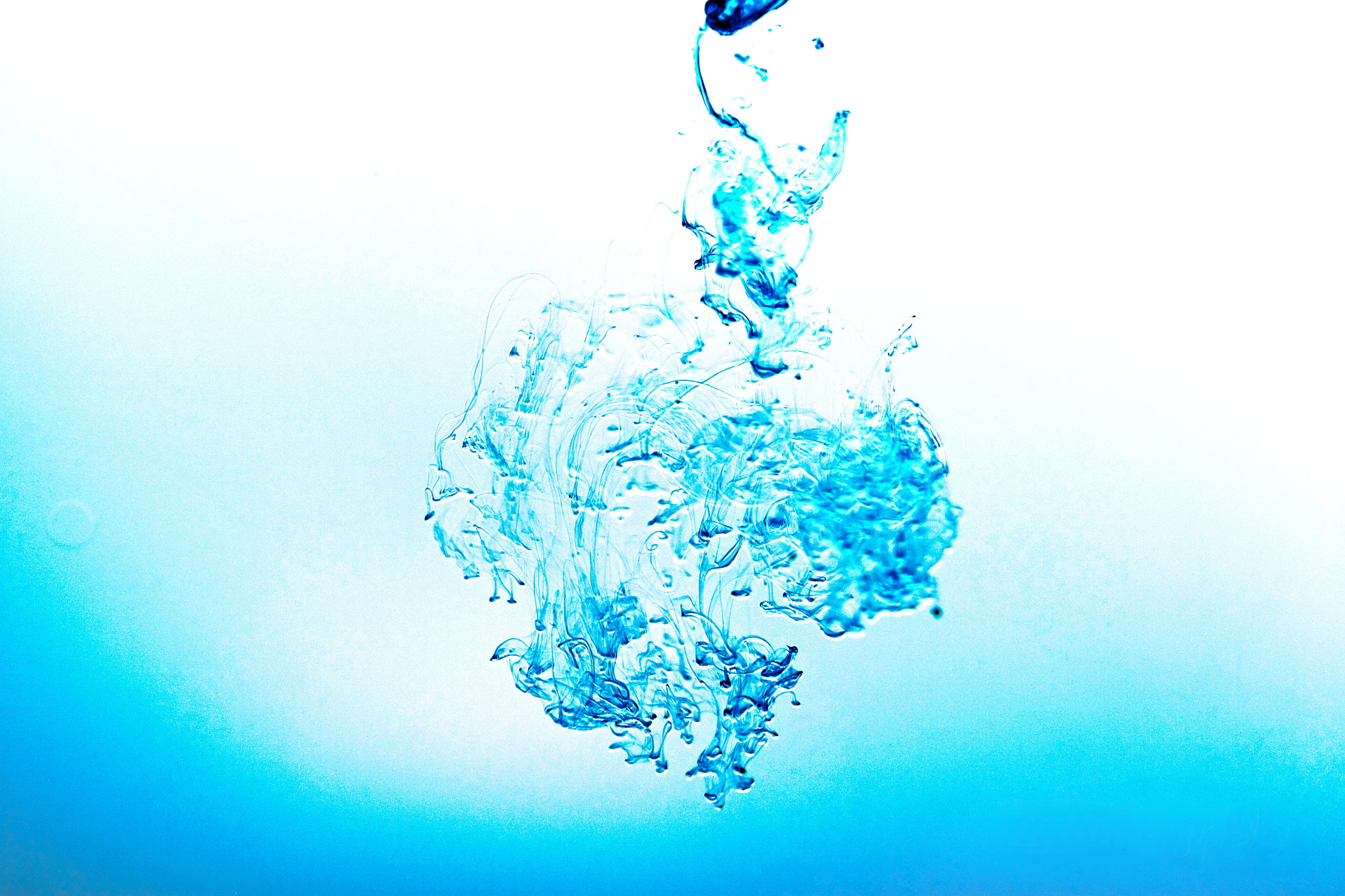 Canon EF 100mm F2.8 Macro USM sample photo. Liquid art photography