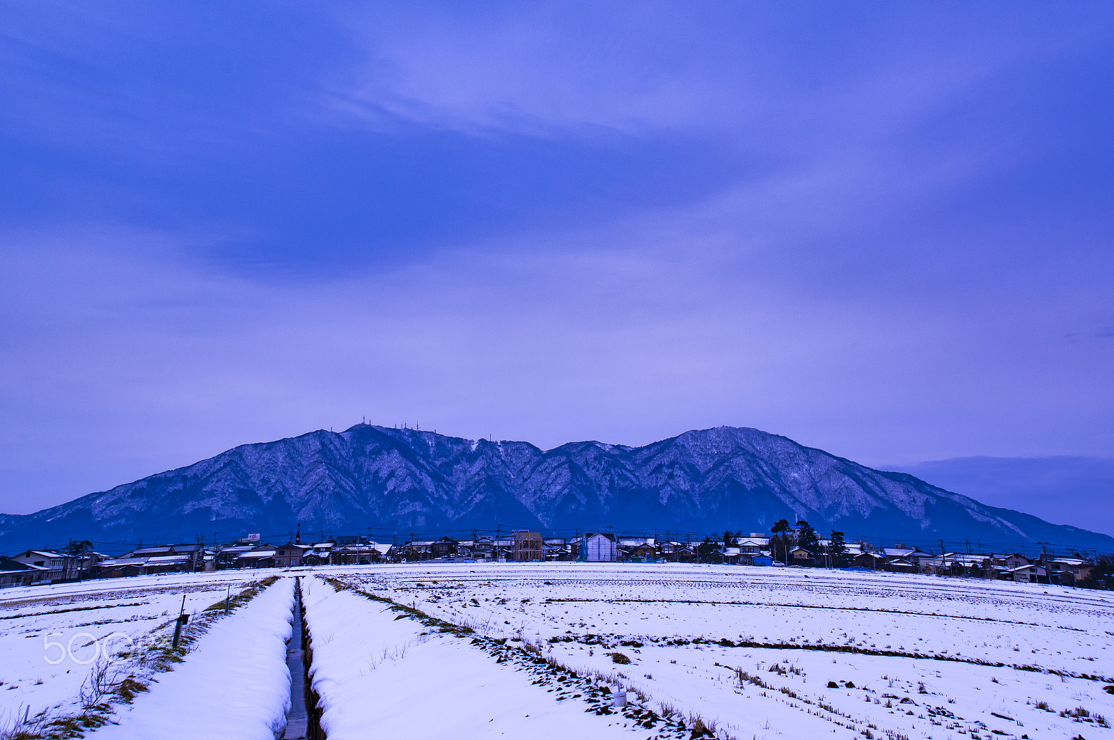 Tamron AF 18-200mm F3.5-6.3 XR Di II LD Aspherical (IF) Macro sample photo. "冬"winter photography