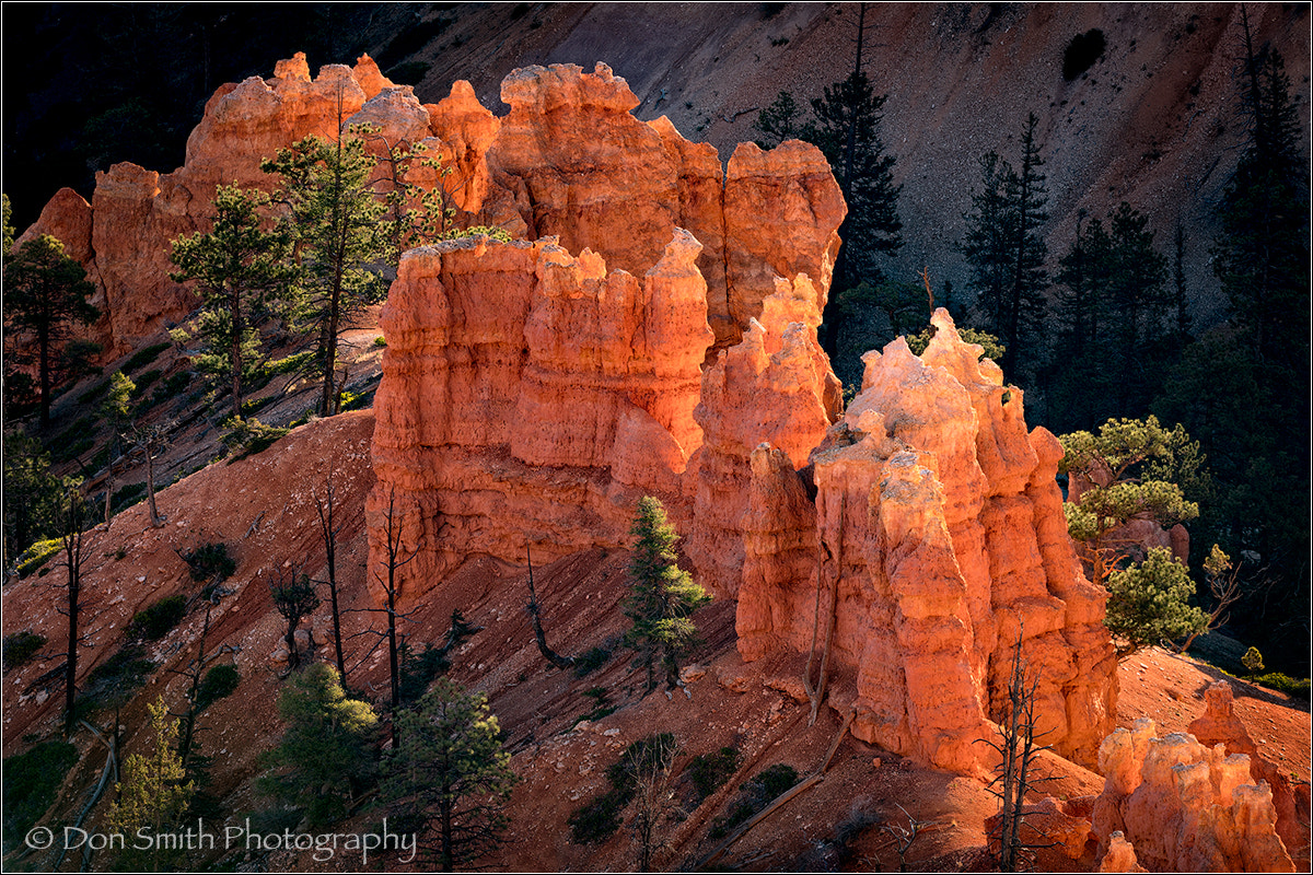 Sigma 150-600mm F5-6.3 DG OS HSM | C sample photo. Glowing hoodoos photography