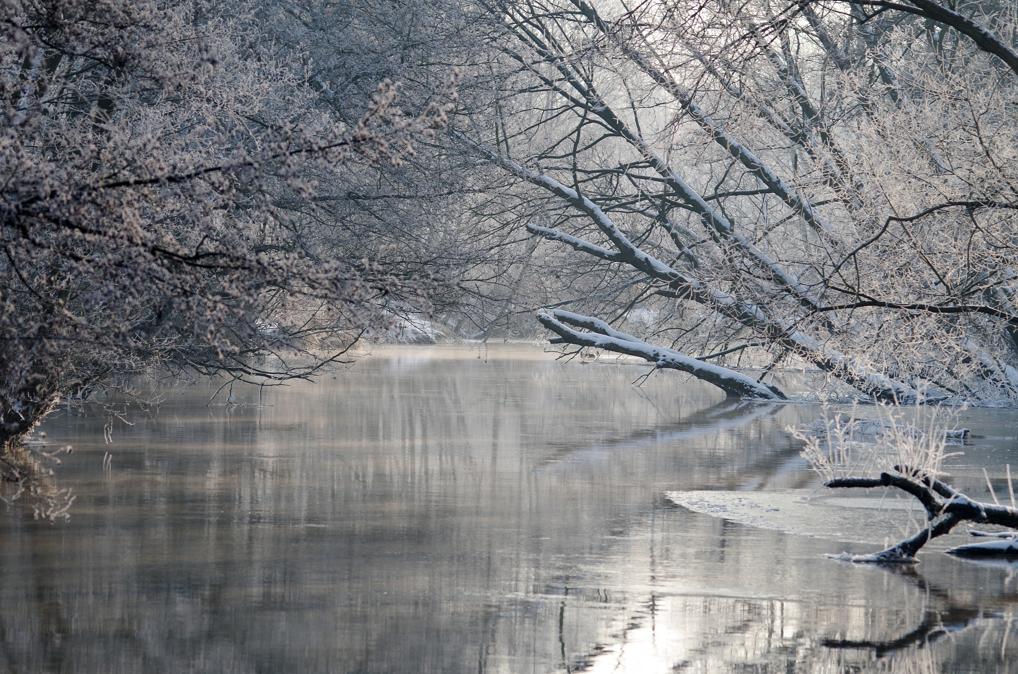 Sigma 150-500mm F5-6.3 DG OS HSM sample photo. () photography