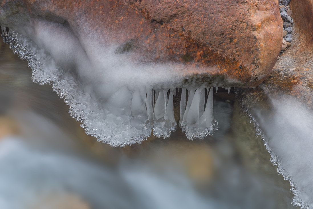 Panasonic Lumix G X Vario 35-100mm F2.8 OIS sample photo. Winter in d.s. photography