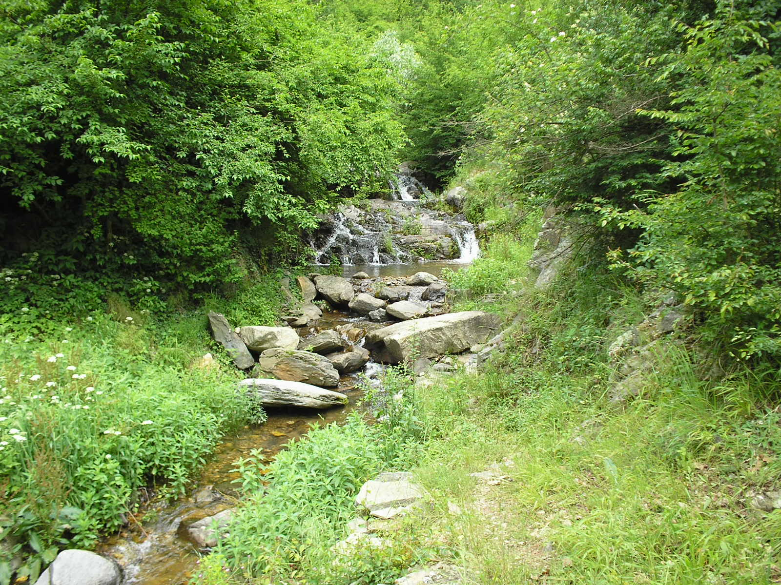 Olympus C170,D425 sample photo. Waterfall photography