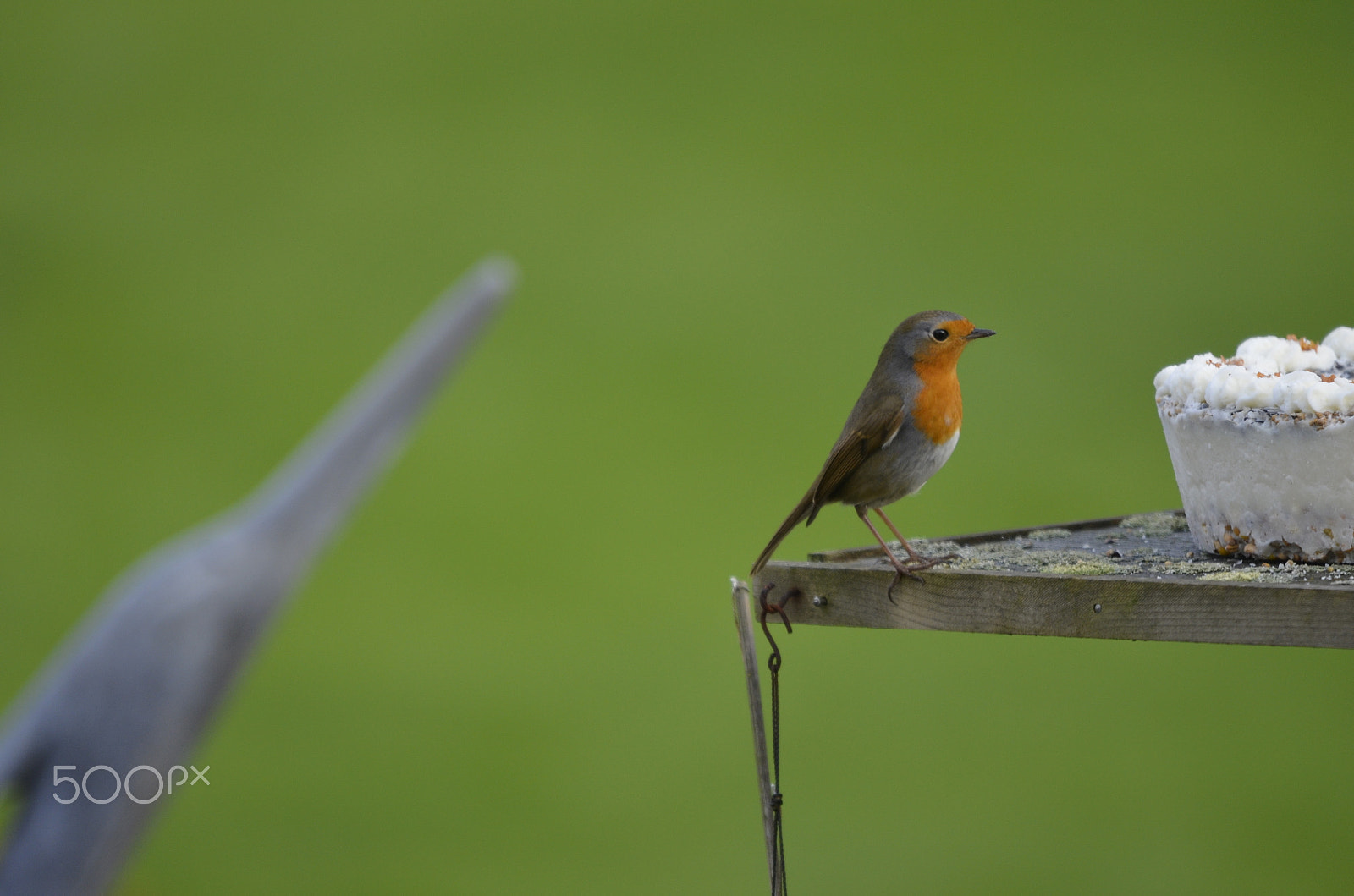 Sigma 120-400mm F4.5-5.6 DG OS HSM sample photo. 20160122_9014.jpg photography