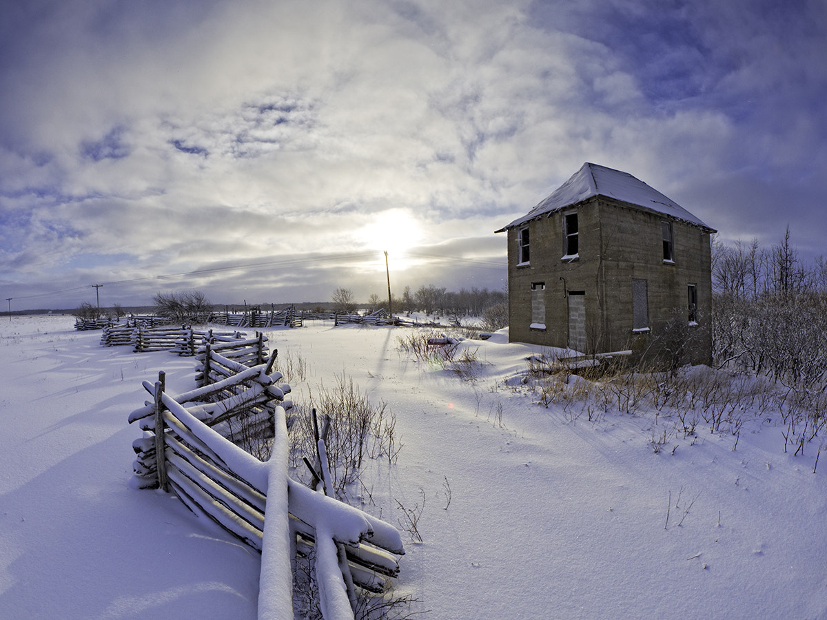 Olympus OM-D E-M10 II + OLYMPUS M.8mm F1.8 sample photo. Standing through another winter photography