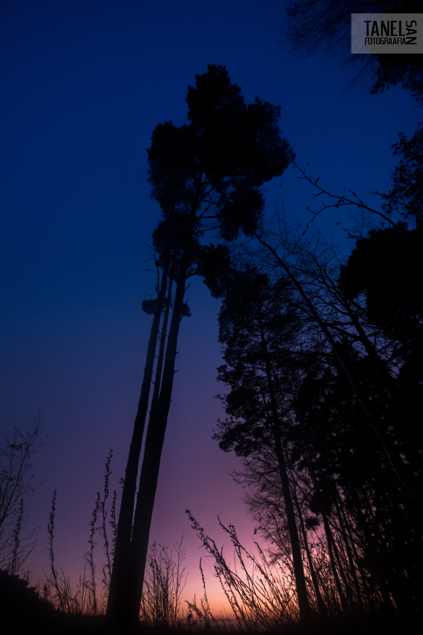 Pentax K-S2 sample photo. Beautiful day end photography