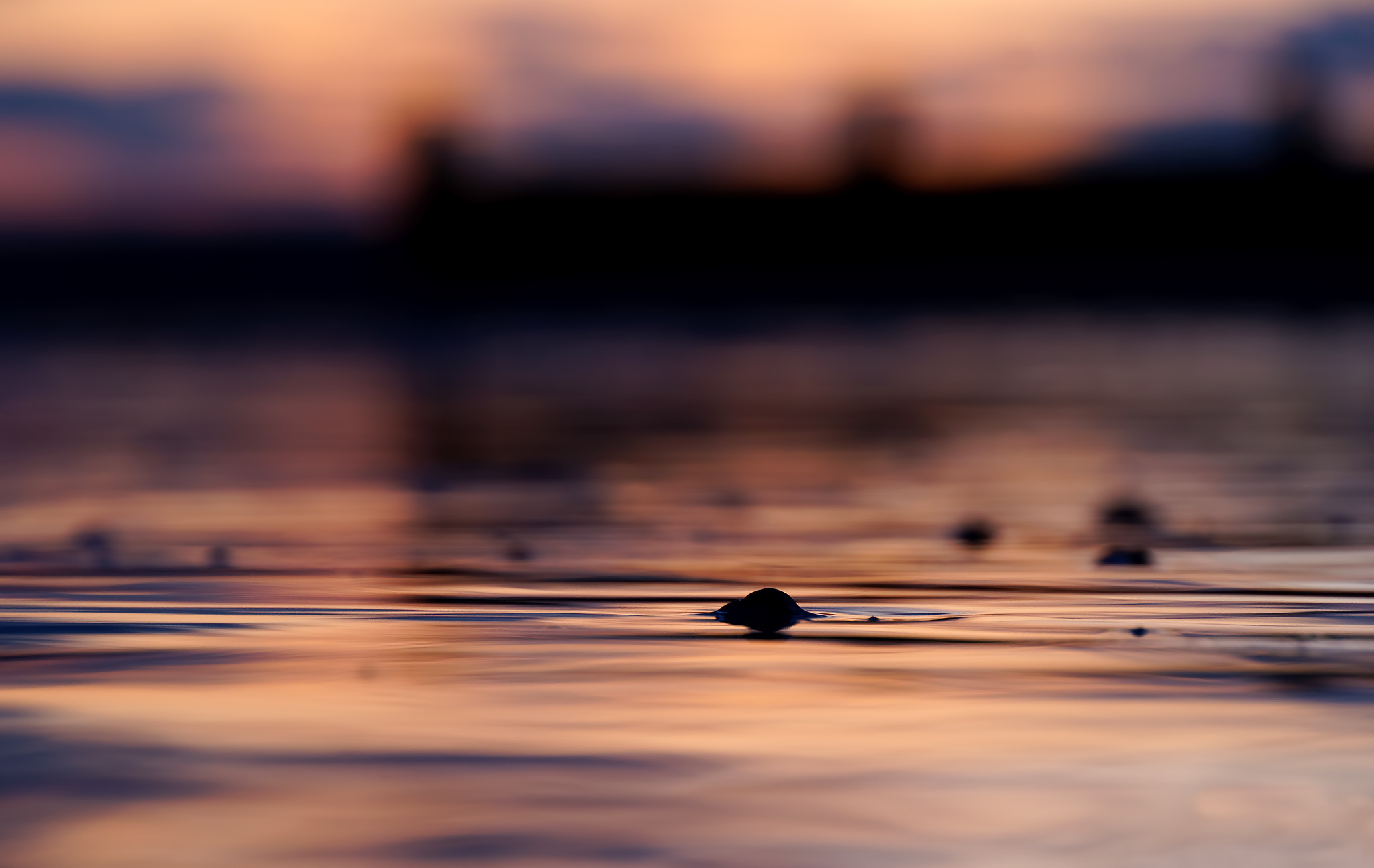 Sony E 18-200mm F3.5-6.3 OSS LE sample photo. Swirling sands photography