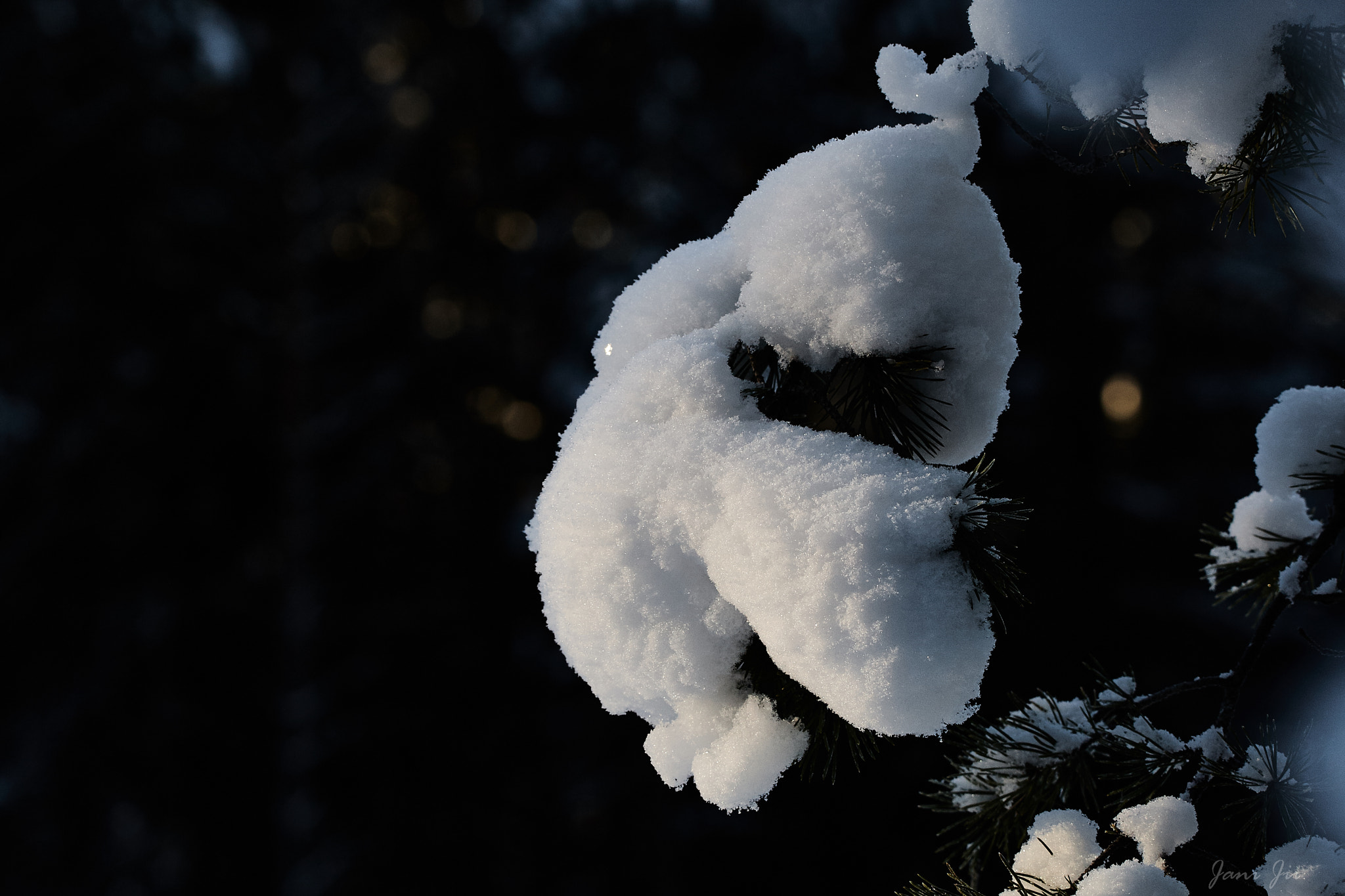 Canon EOS-1D Mark III sample photo. Hanging snow photography