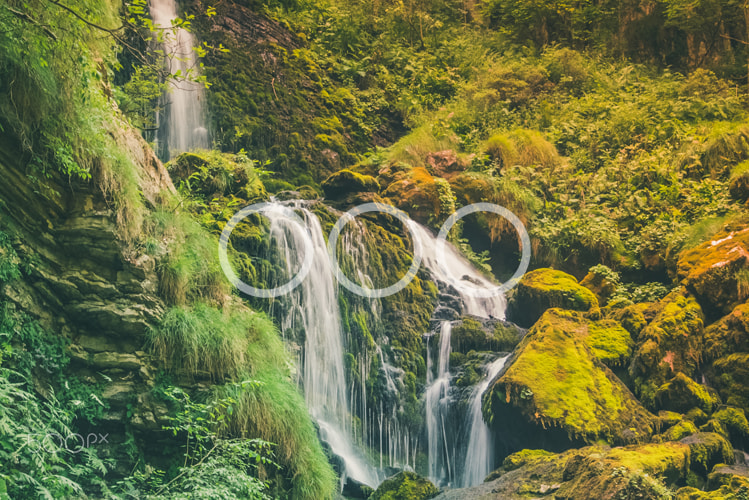 Sony a7S sample photo. Mystic waterfall and vegetation photography