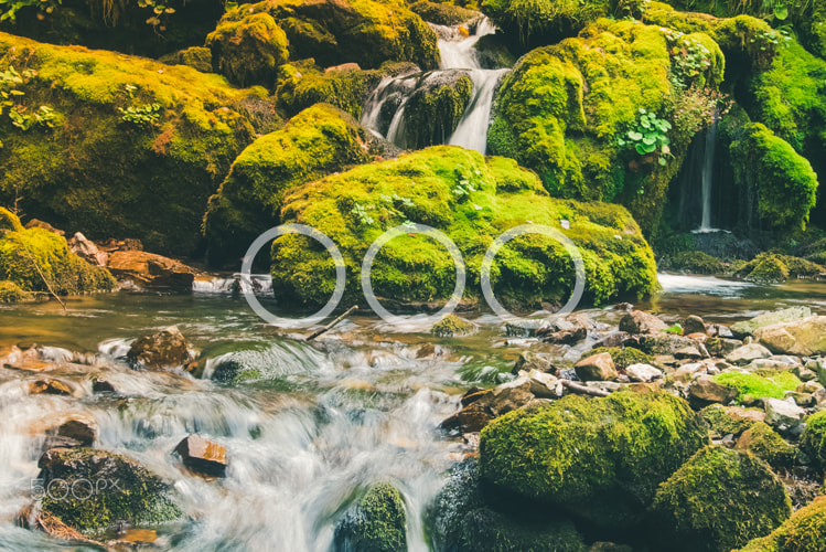 Sony a7S sample photo. Small waterfall in the jungle photography