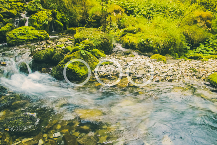 Sony a7S sample photo. Water stream in the jungle photography