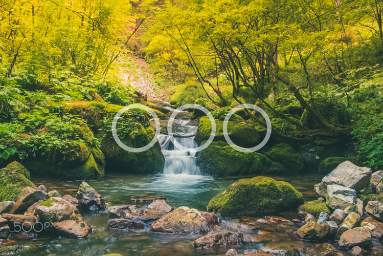 Sony a7S sample photo. Quiet waterfall in the jungle photography
