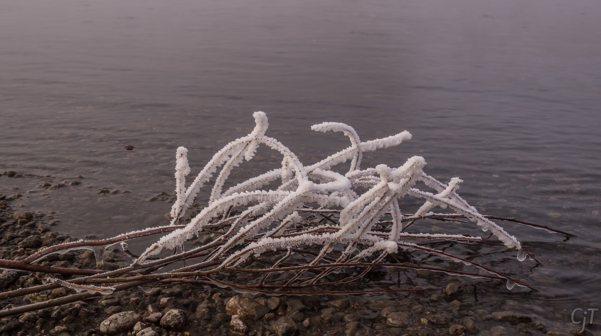 LUMIX G VARIO PZ 14-42/F3.5-5.6 sample photo. Frosted branches in river photography