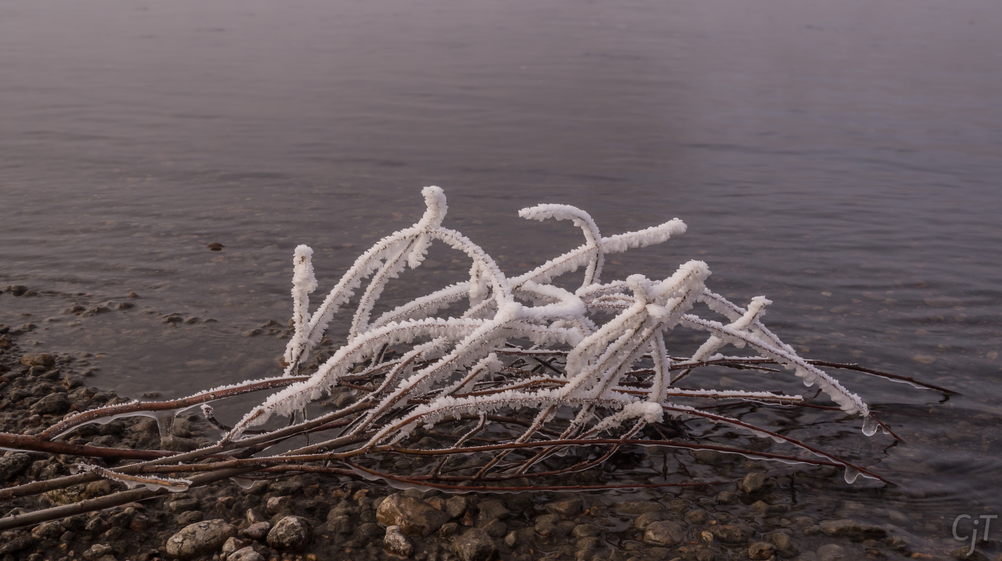 Olympus OM-D E-M10 + LUMIX G VARIO PZ 14-42/F3.5-5.6 sample photo. Frosted branches in river photography