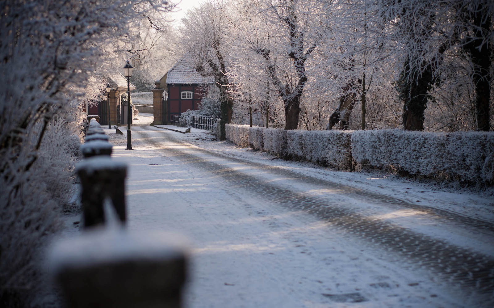Canon EOS-1Ds Mark II sample photo. Winter in northern germany photography