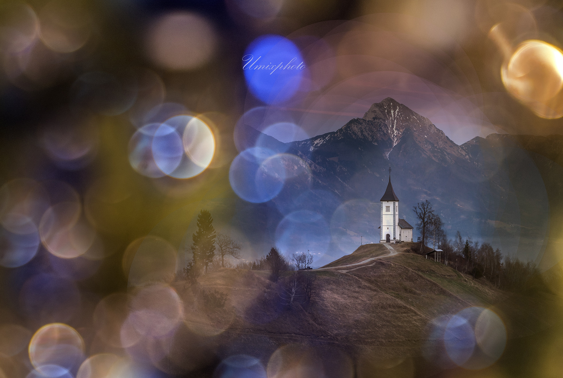 Panasonic Lumix G X Vario 35-100mm F2.8 OIS sample photo. Jamnik photography