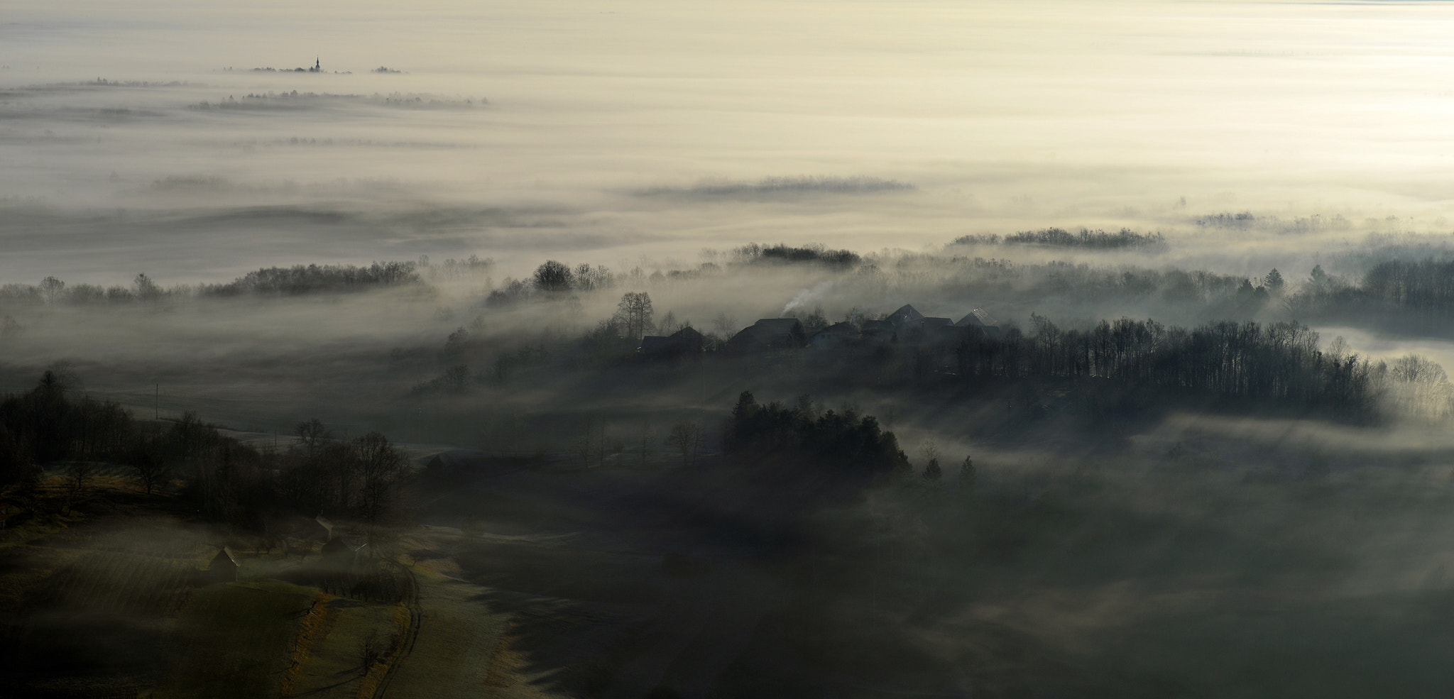 Nikon D800 + Sigma 50mm F2.8 EX DG Macro sample photo. Foggy morning photography