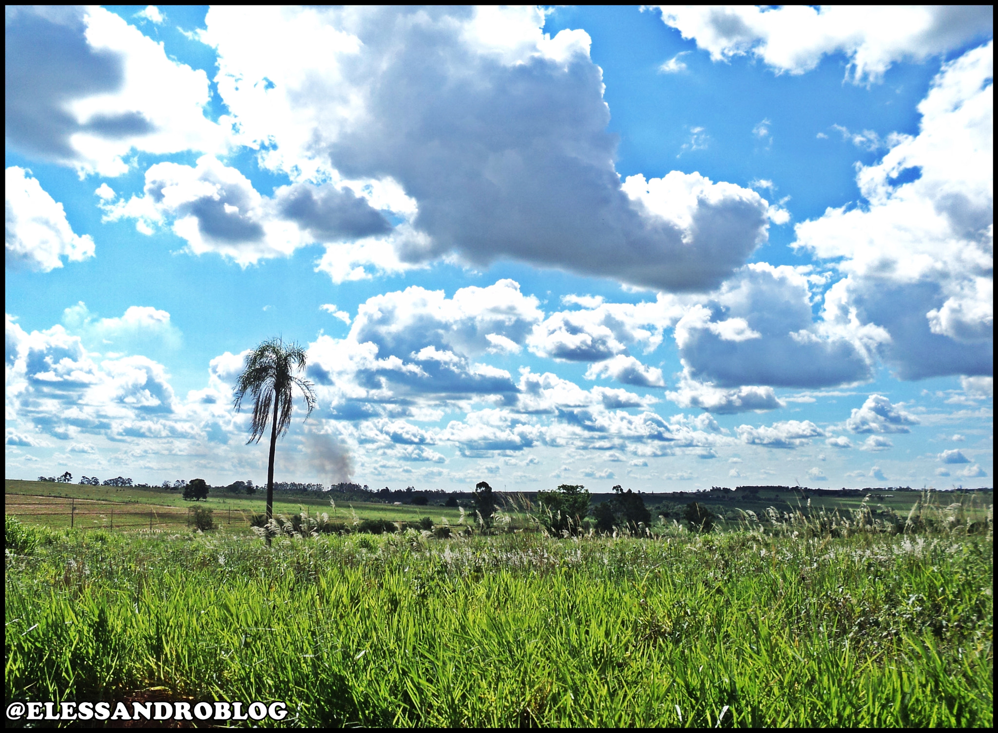 Sony DSC-S1900 sample photo. Elessandro de almeida cidade pvai capital da laranja photography