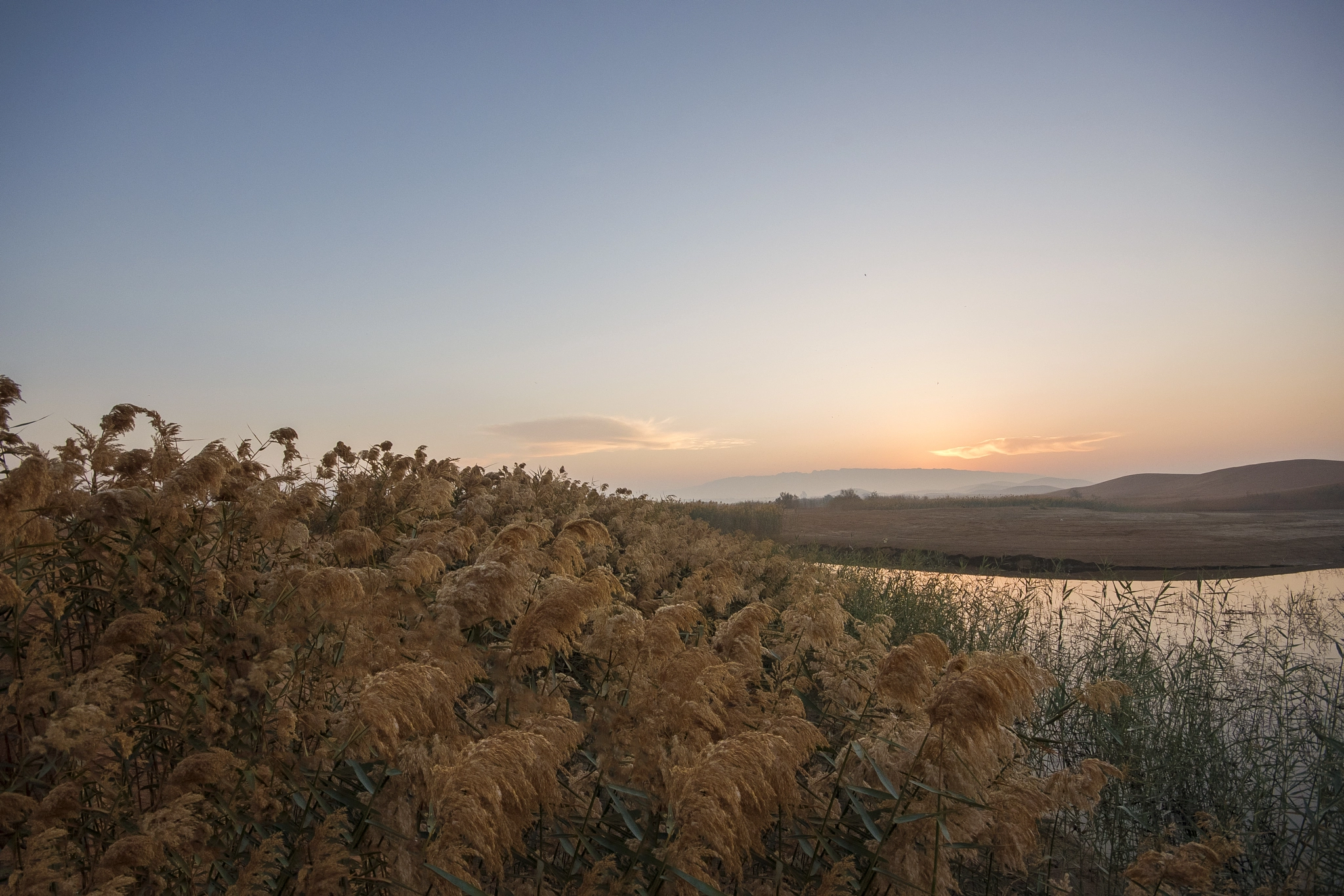 Sigma 10-20mm F4-5.6 EX DC HSM sample photo. Good morning photography