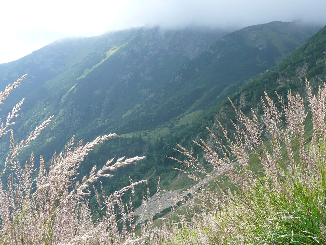 Panasonic DMC-TZ2 sample photo. Nízke tatry photography