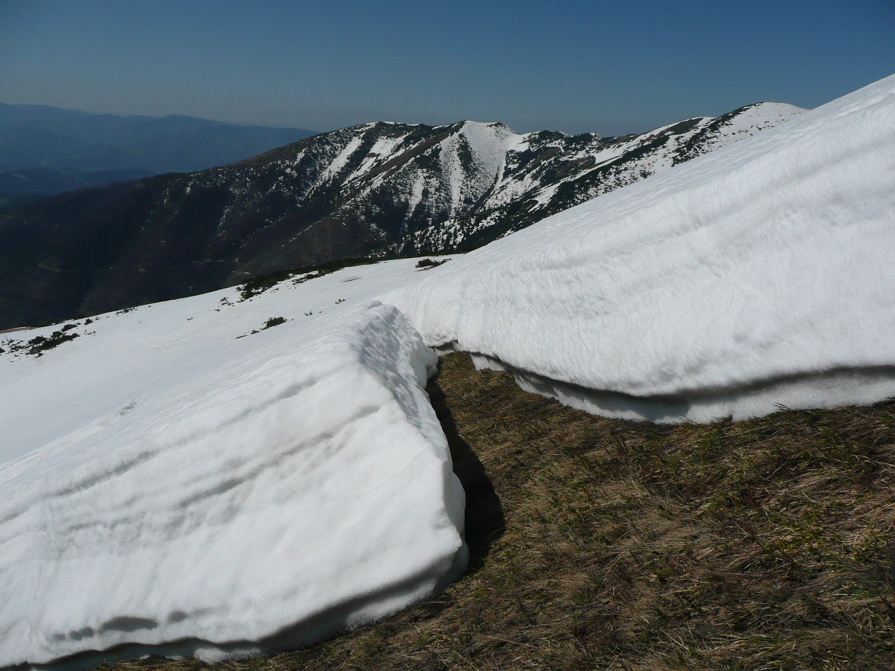 Panasonic DMC-TZ2 sample photo. Nízke tatry photography