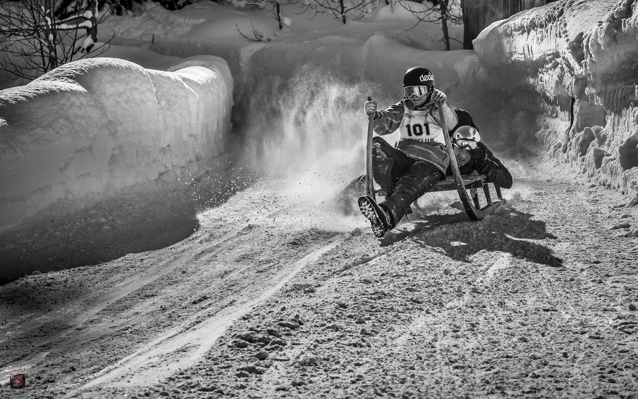 Leica M9 + Leica APO-Summicron-M 90mm F2 ASPH sample photo. Winter: grosse scheidegg (1'962 m.ü.m.) - the horn sled race ... photography