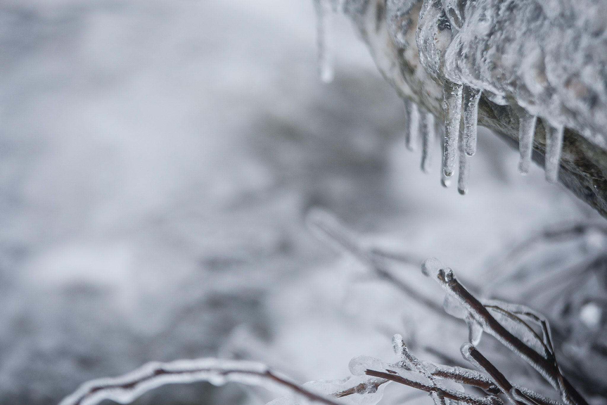 Canon EOS-1D Mark III sample photo. Winter photography