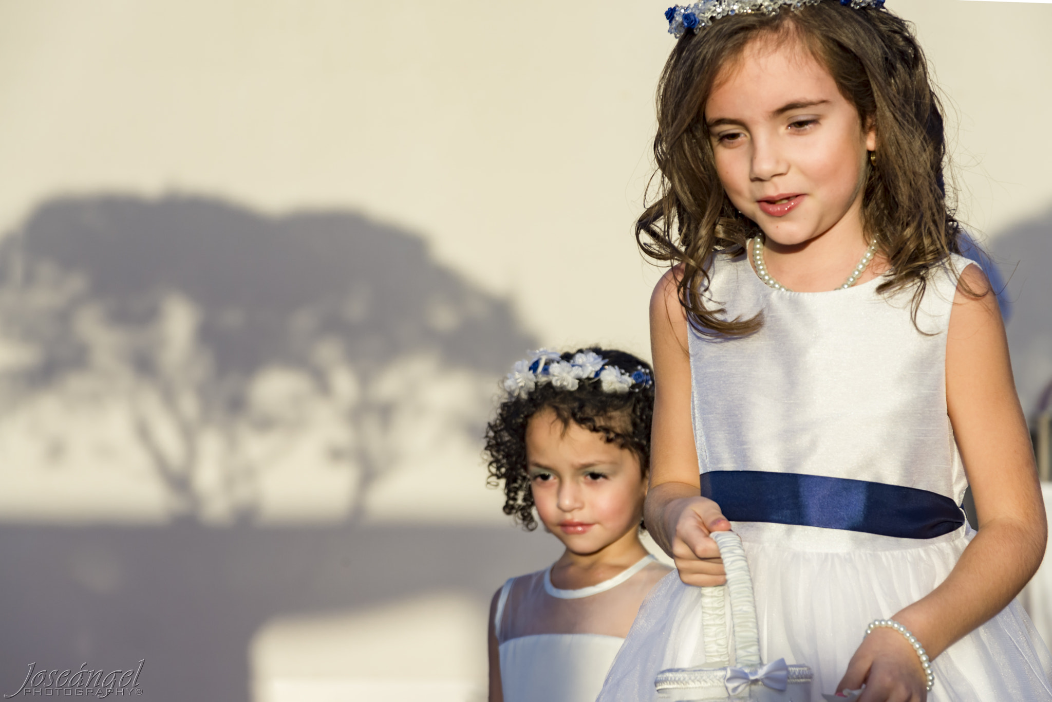 Sigma 17-70mm F2.8-4 DC Macro HSM sample photo. Flower girls shadow mural photography