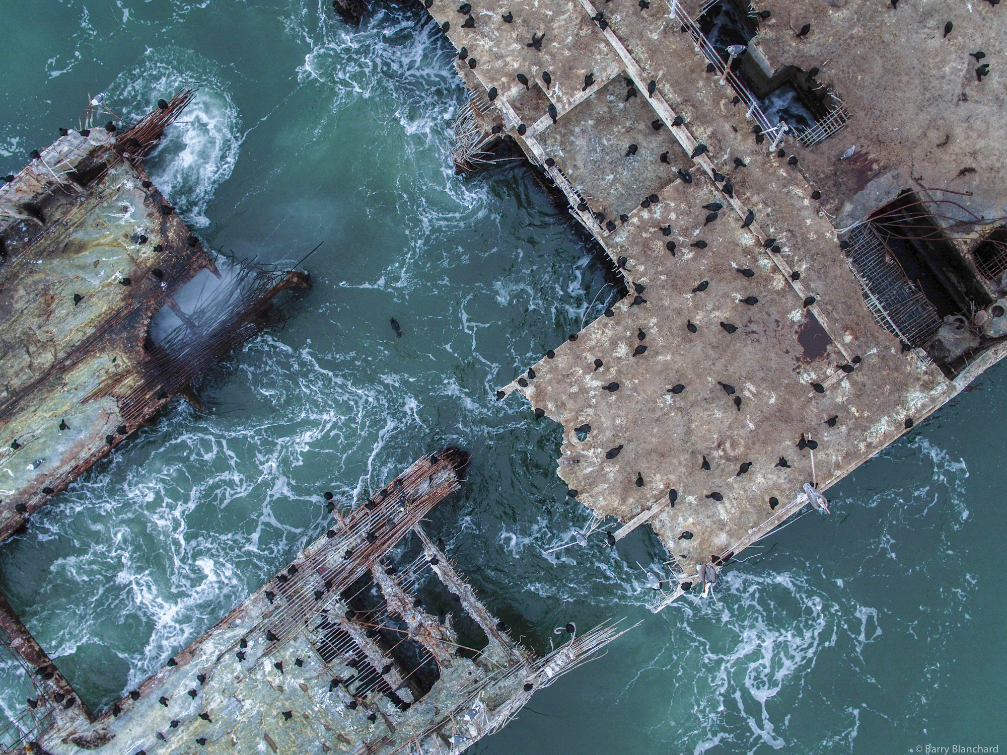 DJI FC550 + Olympus M.Zuiko Digital 25mm F1.8 sample photo. Shipwreck 2 © barry blanchard photography