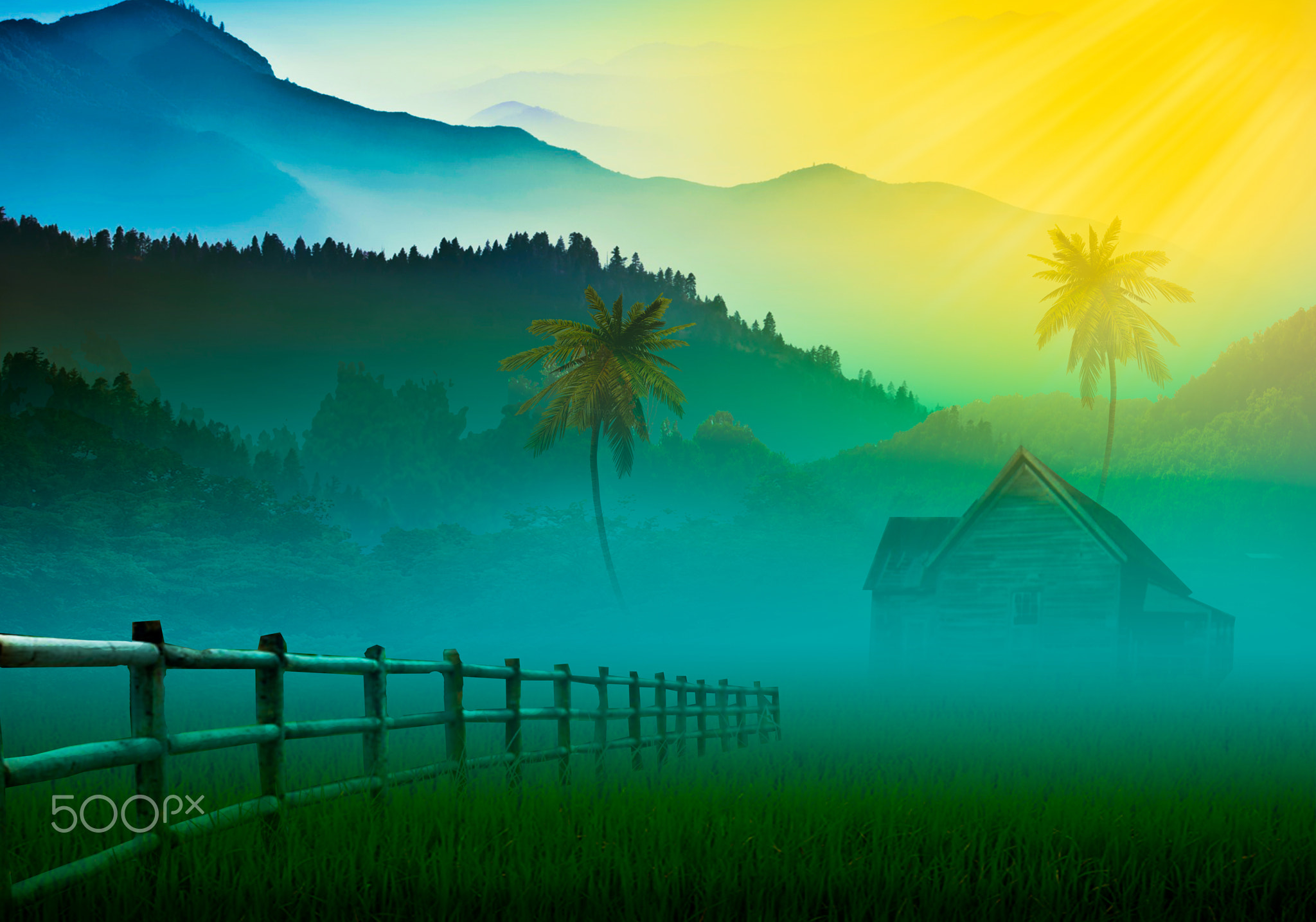 in my dream