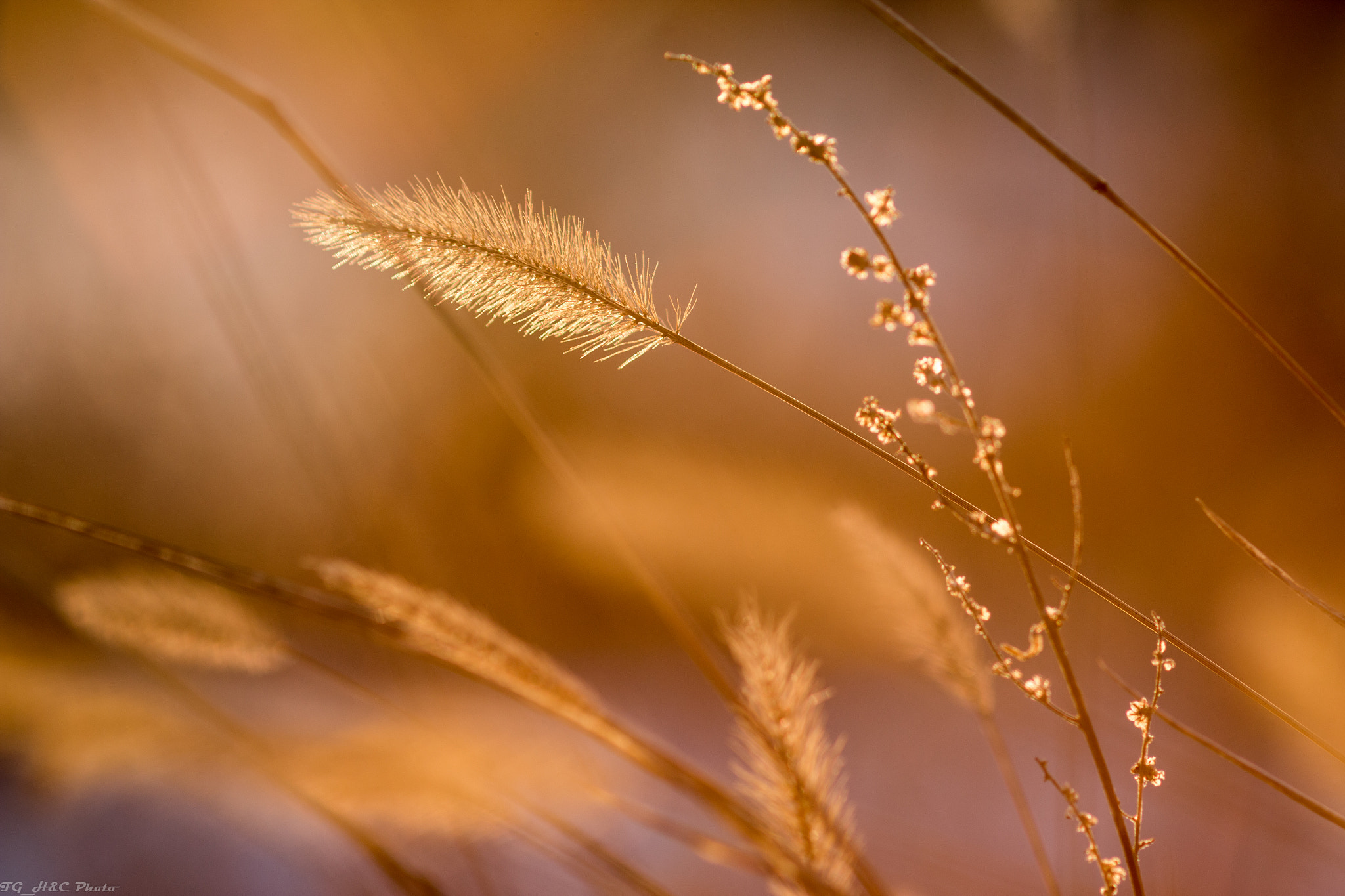 Canon EF 100mm F2.8 Macro USM sample photo. Sunlight photography