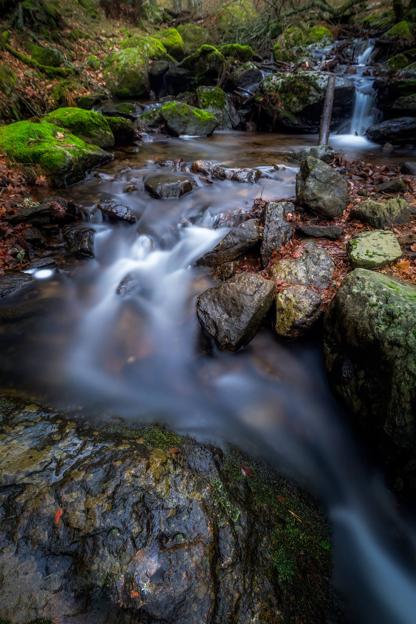 Sony a7 II + Canon EF 16-35mm F4L IS USM sample photo. Water and rocks photography