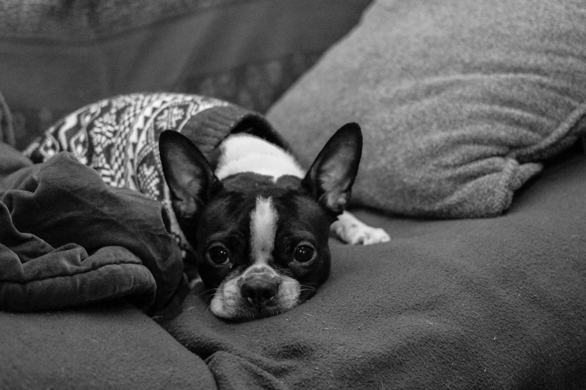 Canon EF 40mm F2.8 STM sample photo. Nora 2 photography