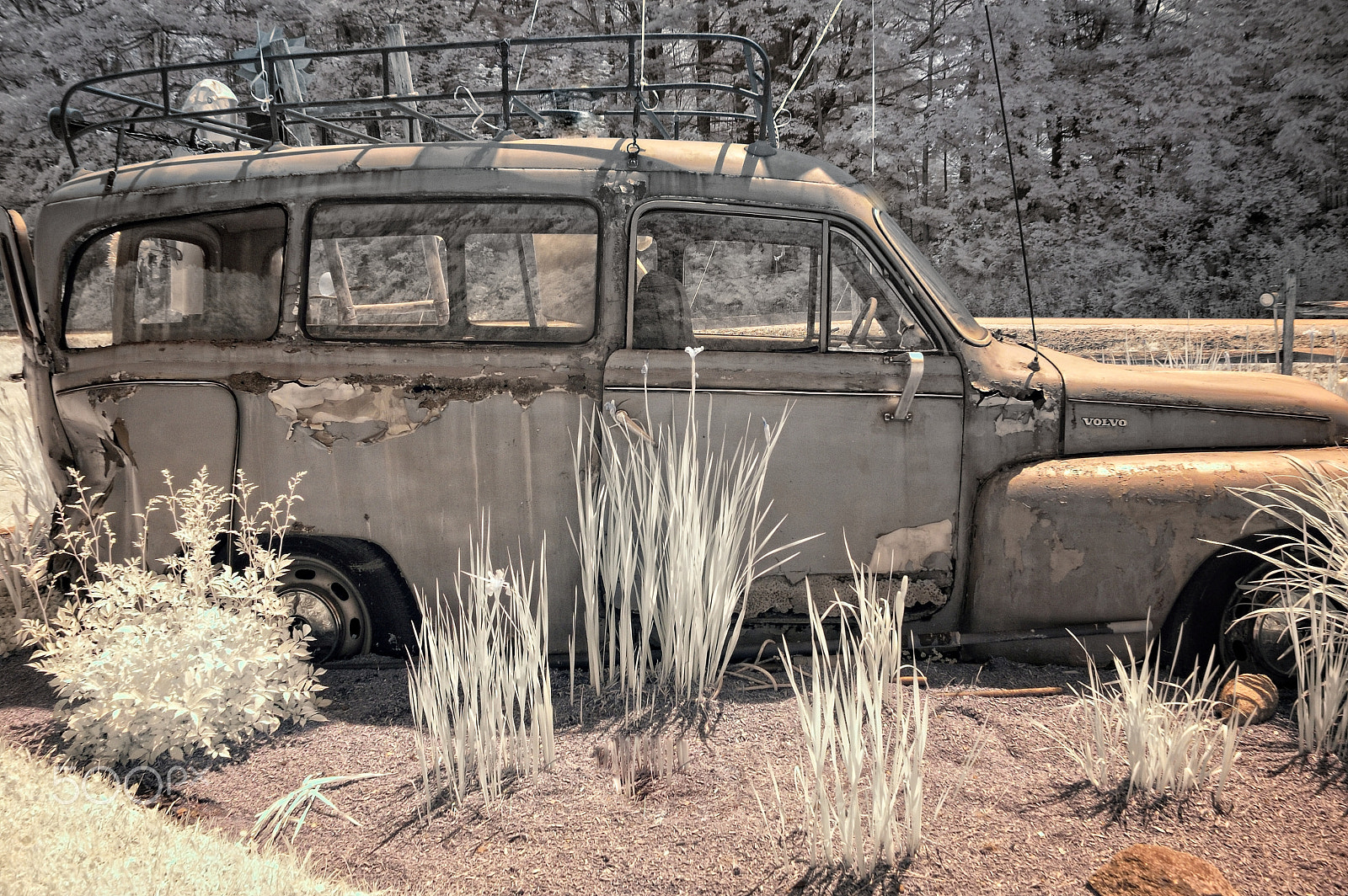 Nikon D70s sample photo. Volvo garden photography