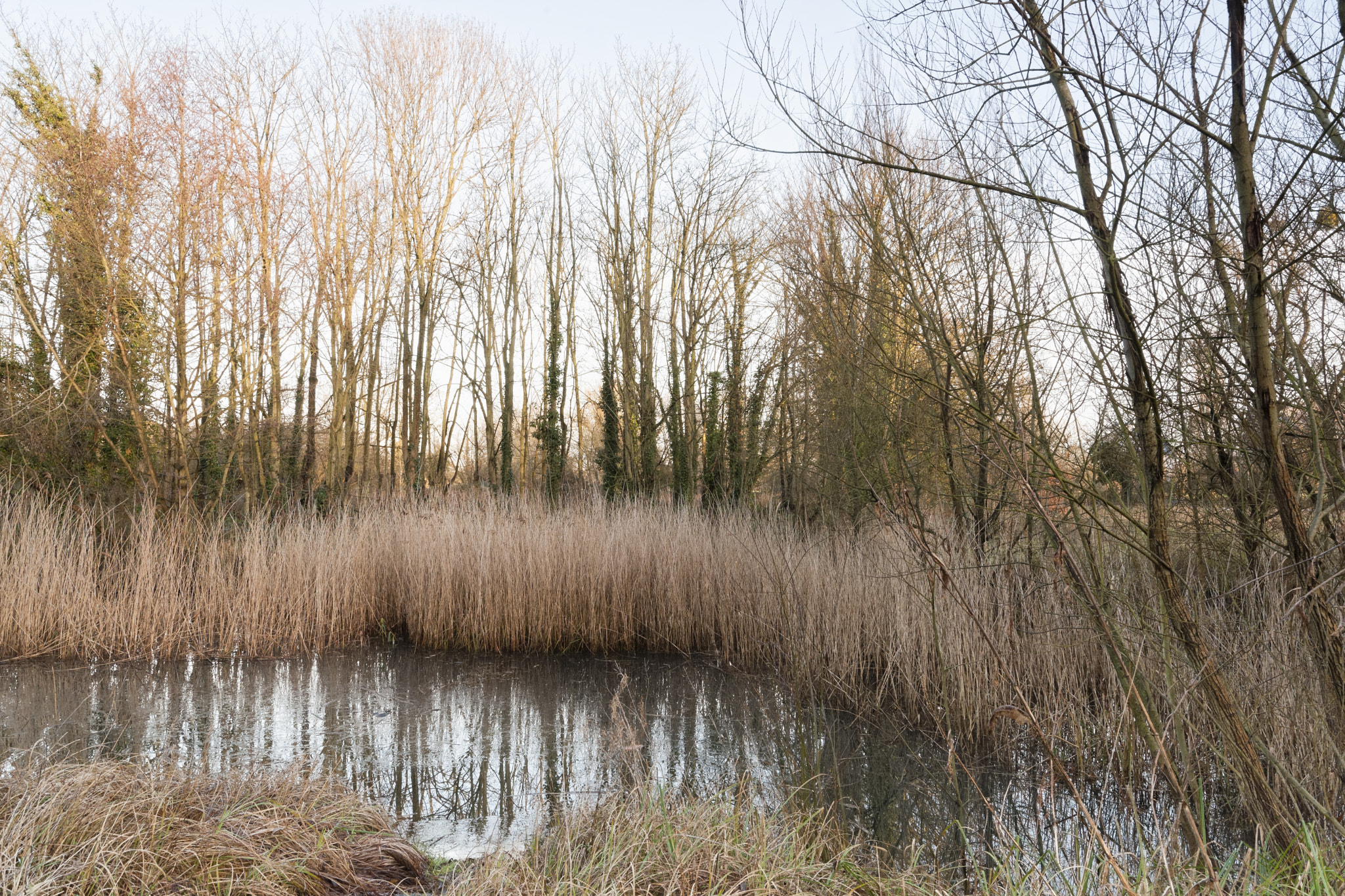 Sony Alpha DSLR-A900 sample photo. View island photography