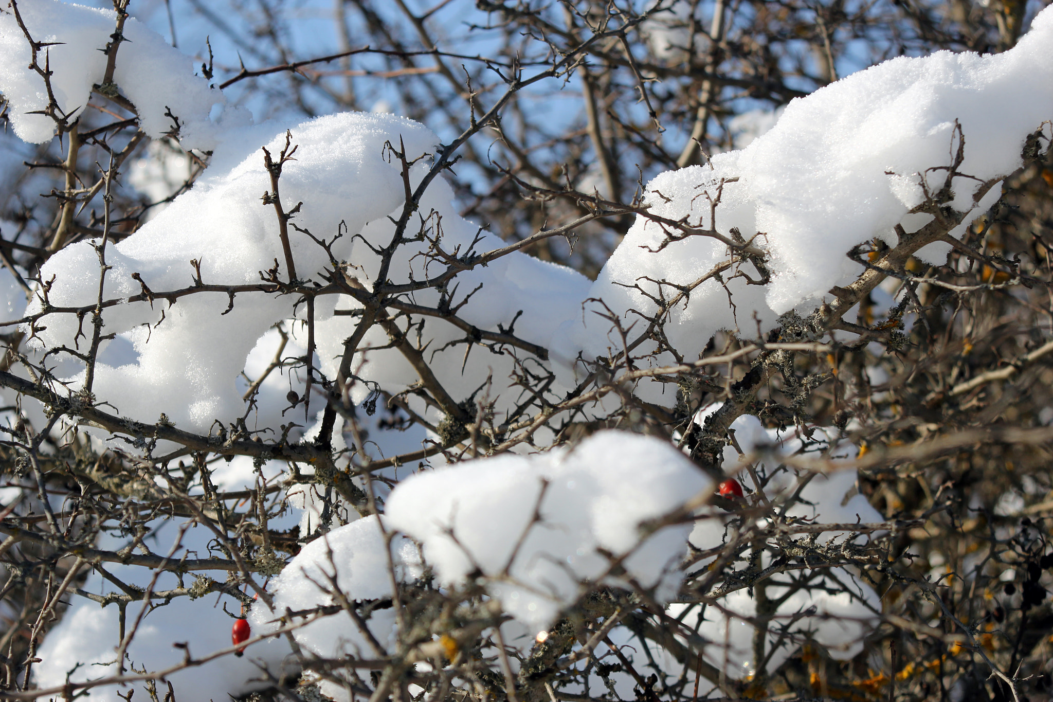Canon EF 80-200mm F4.5-5.6 II sample photo. Snow photography