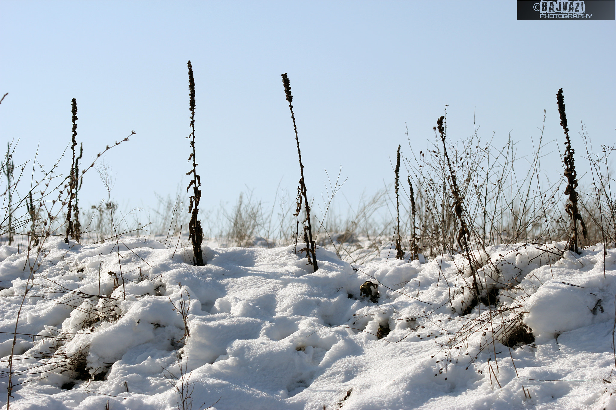 Canon EF 80-200mm F4.5-5.6 II sample photo. Winter's day photography