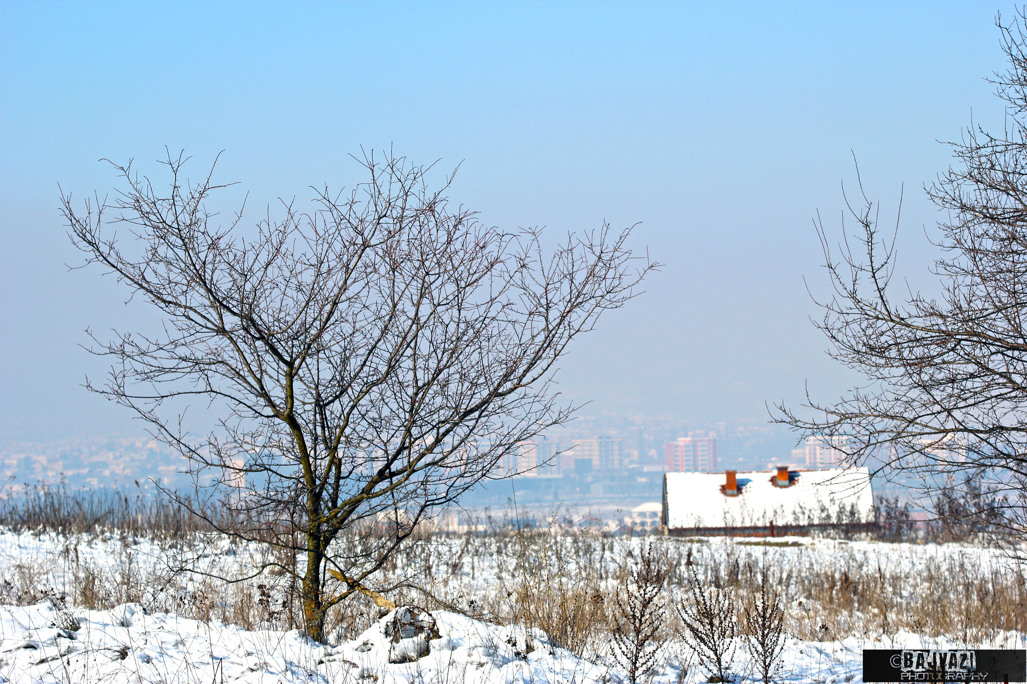 Canon EF 80-200mm F4.5-5.6 II sample photo. A winter tree photography