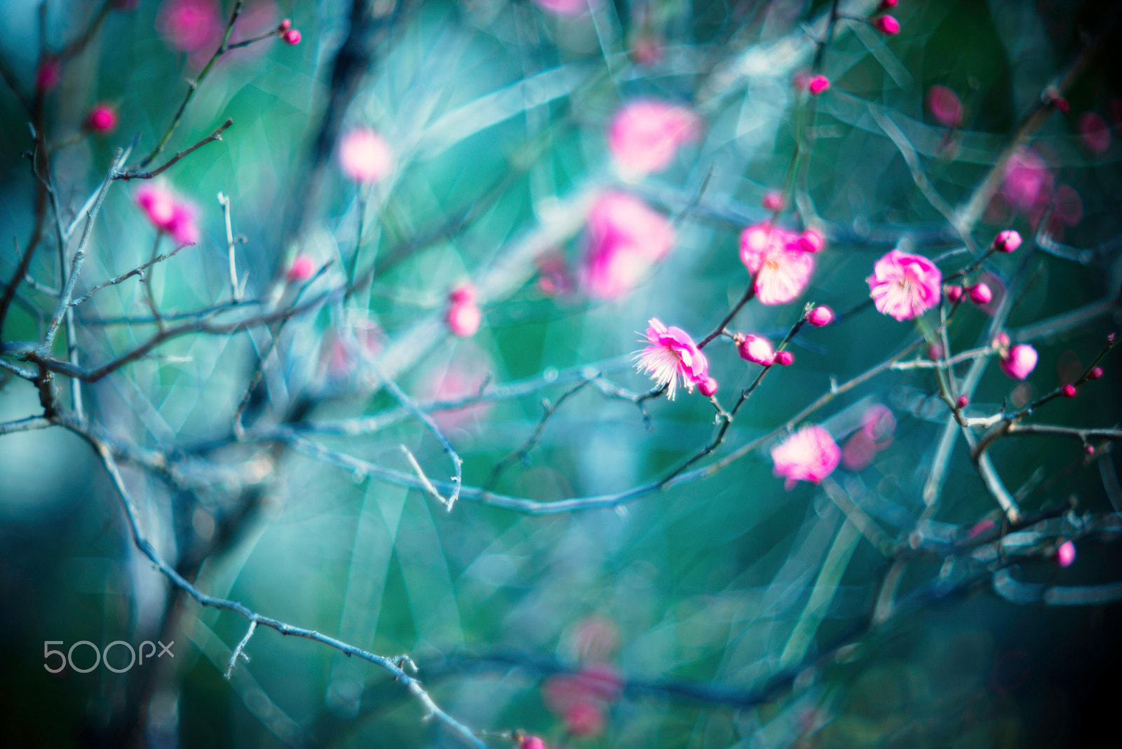 Noctilux-M 1:1/50 sample photo. A little change photography