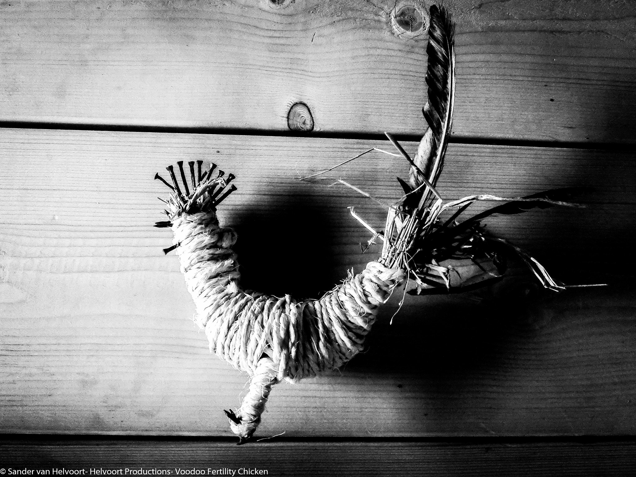 CASIO EX-ZR200 sample photo. Voodoo fertility chicken photography