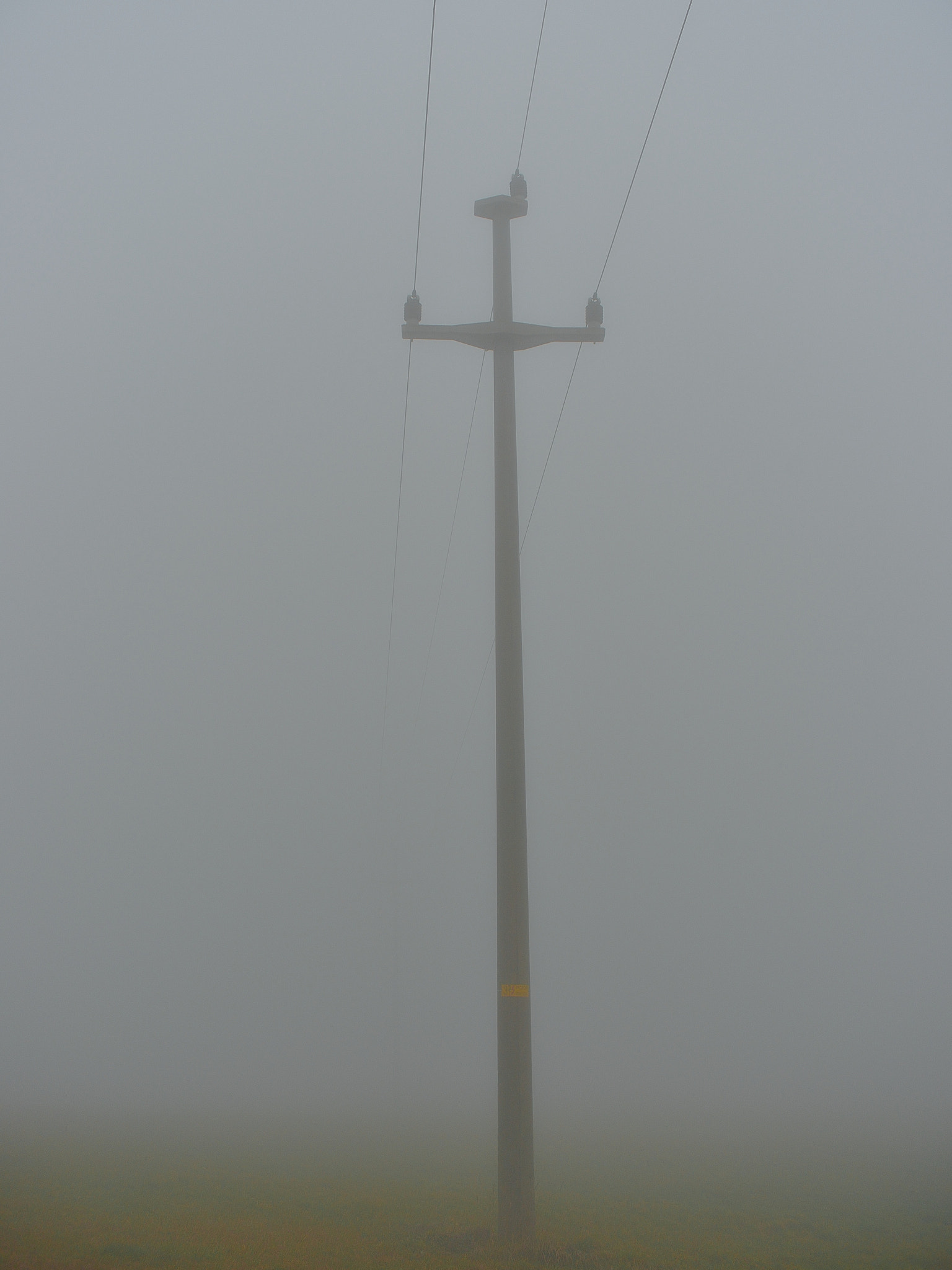 AF Zoom-Nikkor 35-135mm f/3.5-4.5 N sample photo. Fog photography