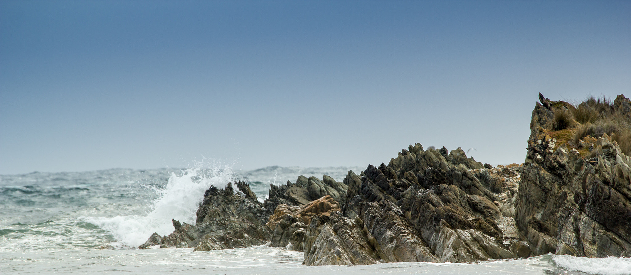 Canon EF 28-300mm F3.5-5.6L IS USM sample photo. The wild tarkine photography