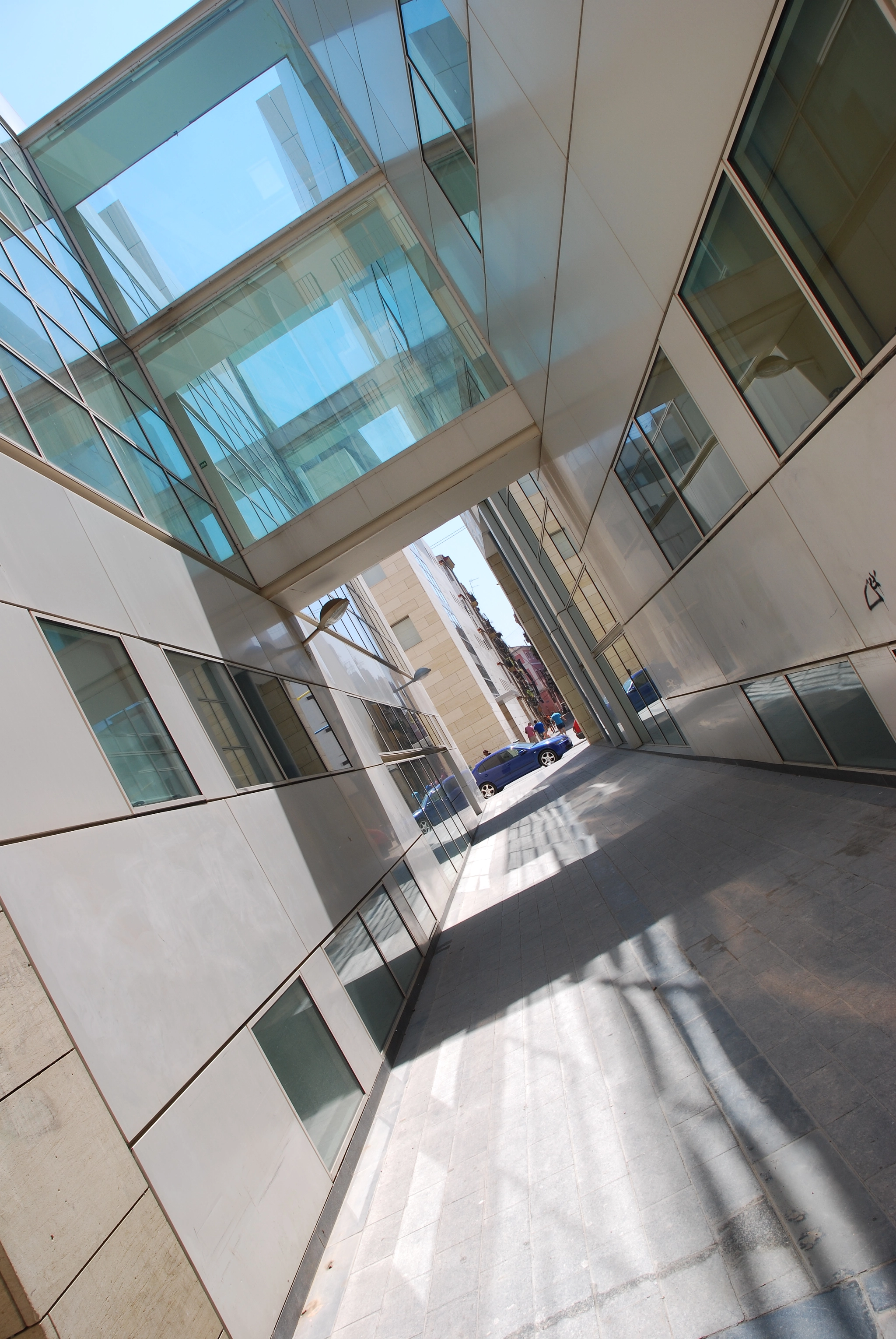 Nikon D60 sample photo. Administration valence photography