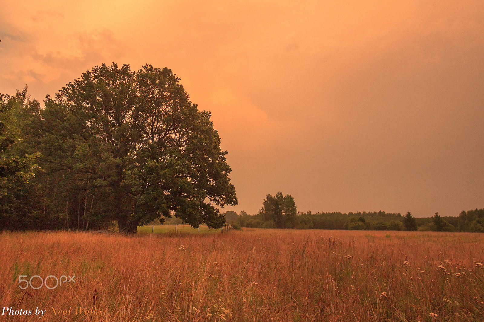 Canon EF-S 17-85mm F4-5.6 IS USM sample photo. Sunset painting photography