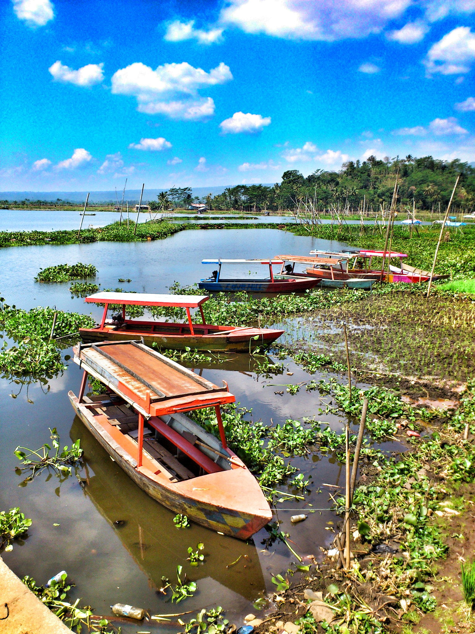 Sony Ericsson Xperia ray sample photo. Rawa pening, ambarawa photography
