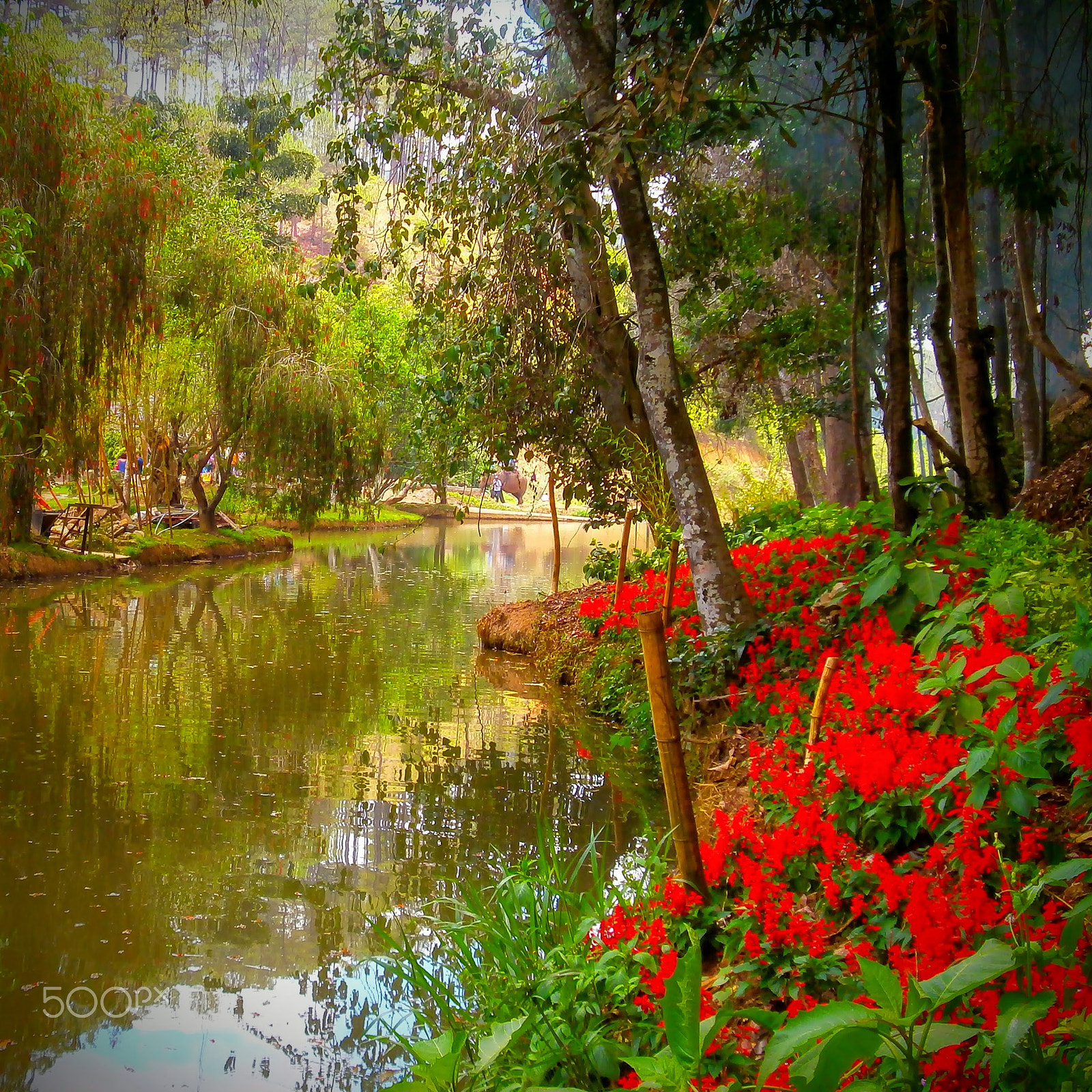 Olympus VG150,D735 sample photo. Dalat, vietnam river photography