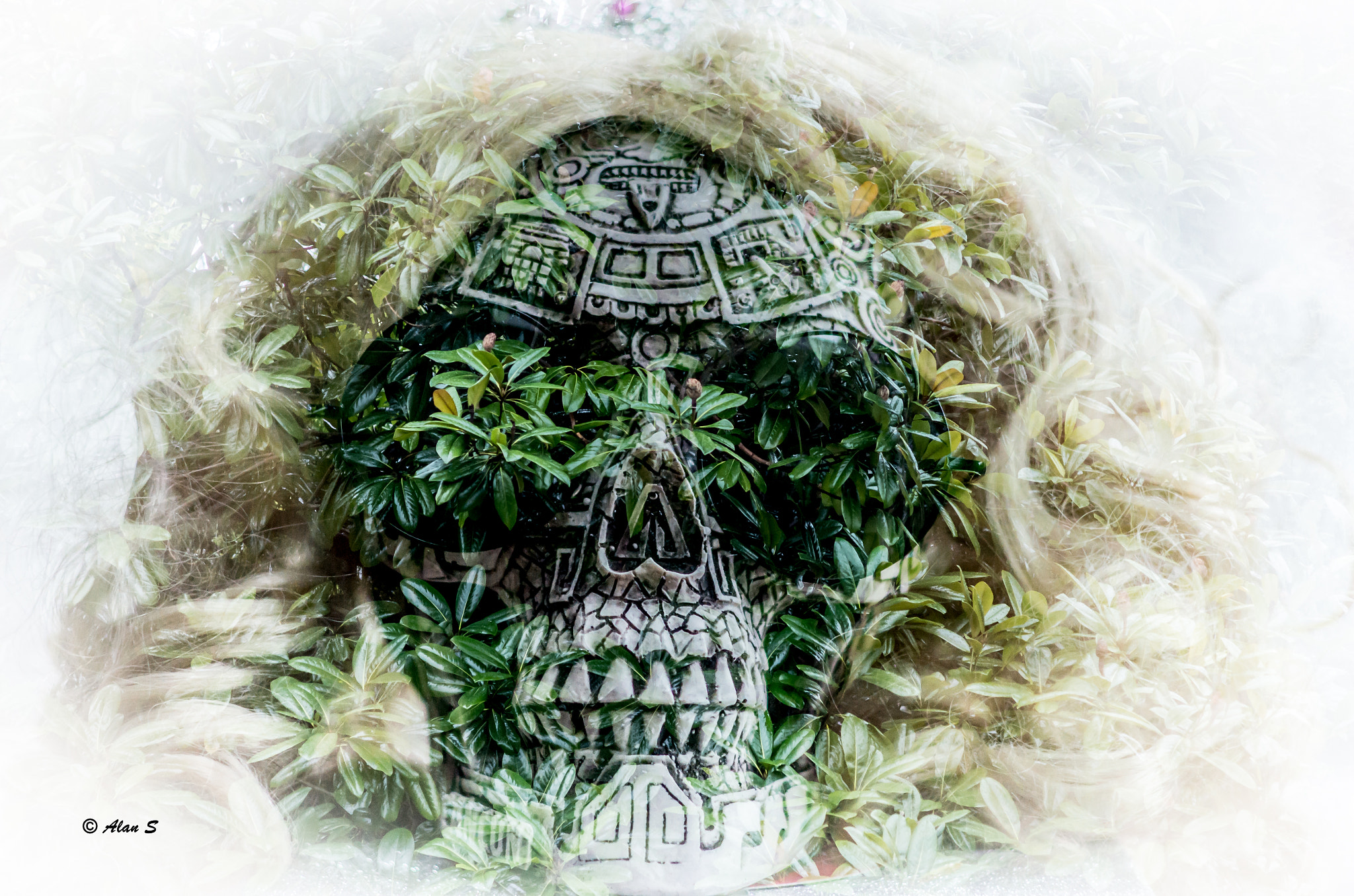 Pentax smc DA 70mm F2.4 AL Limited sample photo. Life and death - double exposure photography