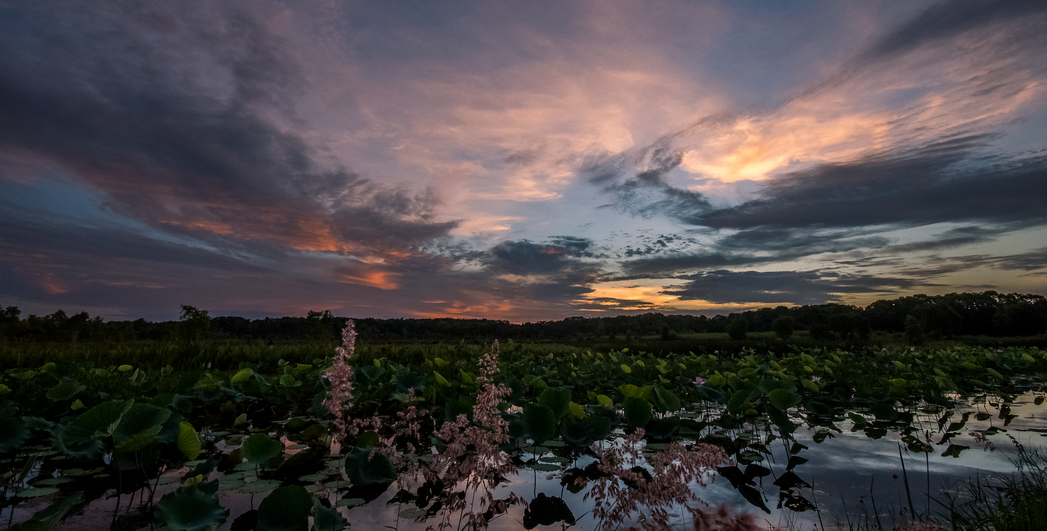 Sigma 10-20mm F4-5.6 EX DC HSM sample photo. Storm ahead photography