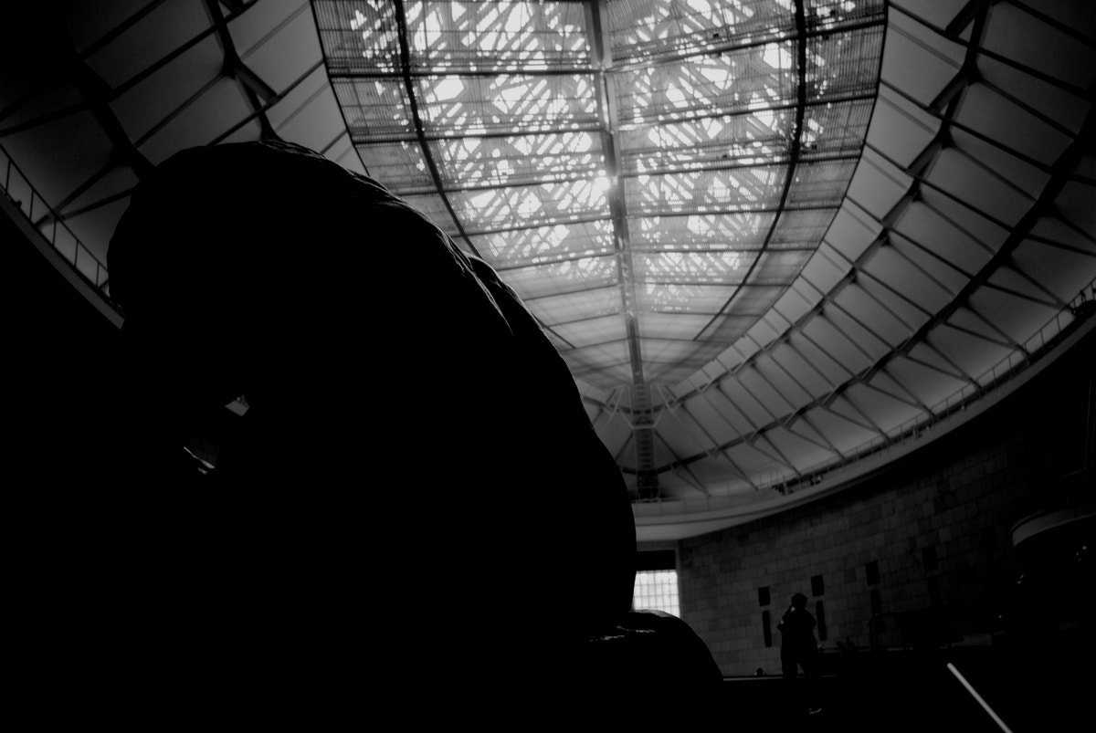 Nikon D40X sample photo. Back shot photography