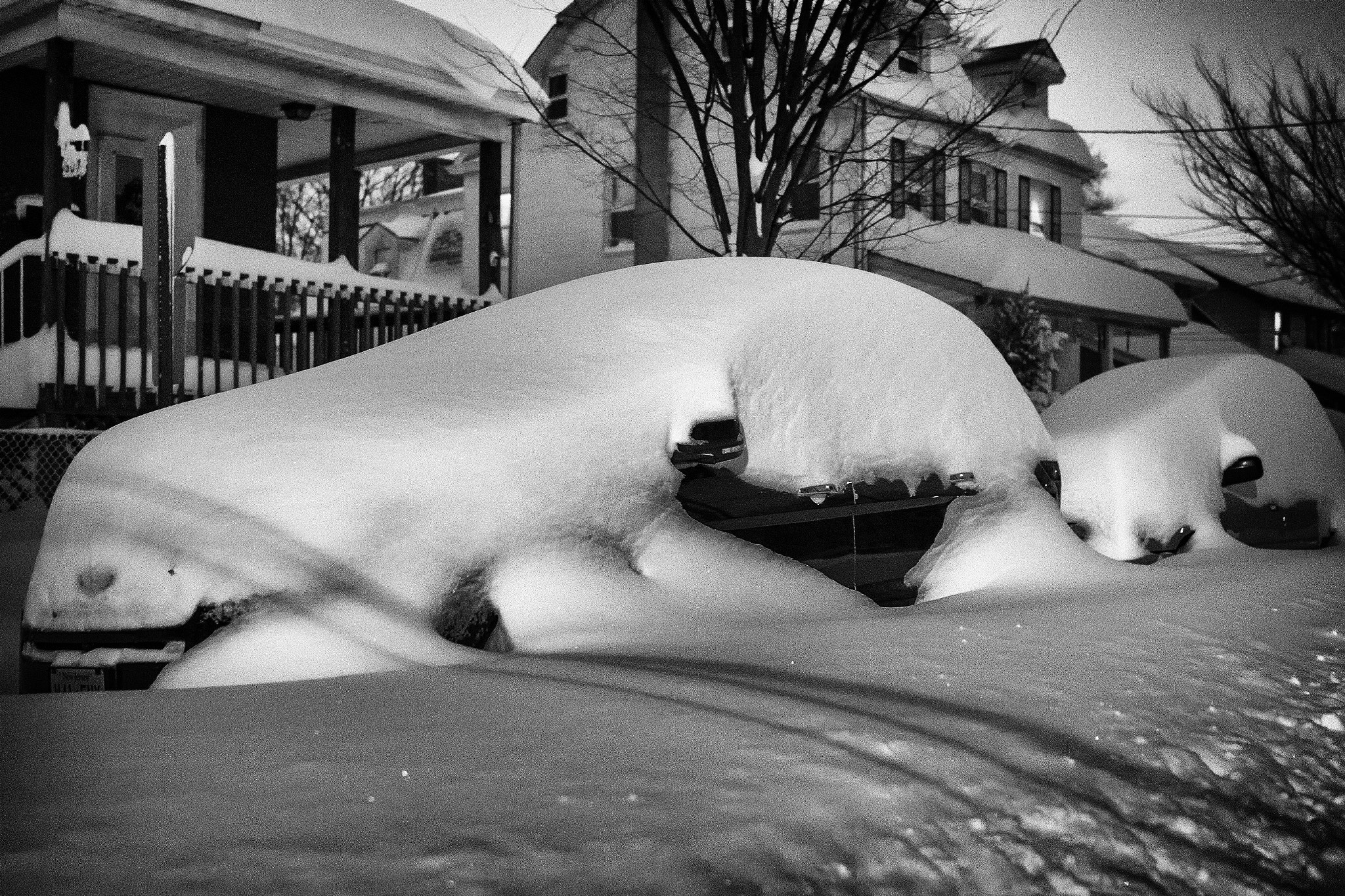 Sigma 24mm F1.4 DG HSM Art sample photo. Under snow photography